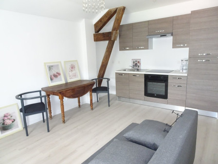 Location appartement type 2 (T2) 35m2 Pont de cheruy-38Z03100PL001371-692-01