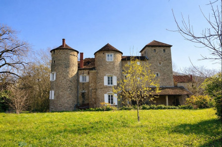 Vente maison 17 pièces 405m2 Villemoirieu-38Z03100VP001894-692-02 Vente maison 17 pièces 405m2 Villemoirieu-38Z03100VP001894-692-02