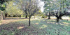 Vente terrain 812m2 St romain de jalionas
