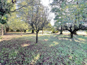 Vente terrain 812m2 St romain de jalionas