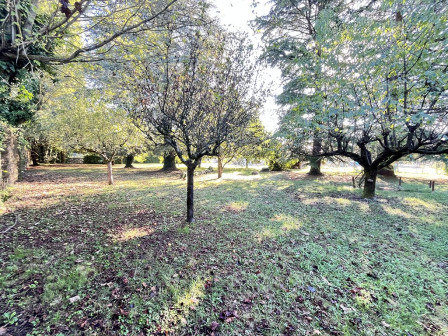 Vente terrain 812m2 St romain de jalionas-38Z03100VT001884-692-01