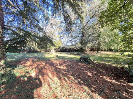 Vente terrain 812m2 St romain de jalionas-38Z03100VT001884-692-02
