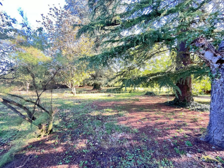Vente terrain 812m2 St romain de jalionas-38Z03100VT001884-692-03